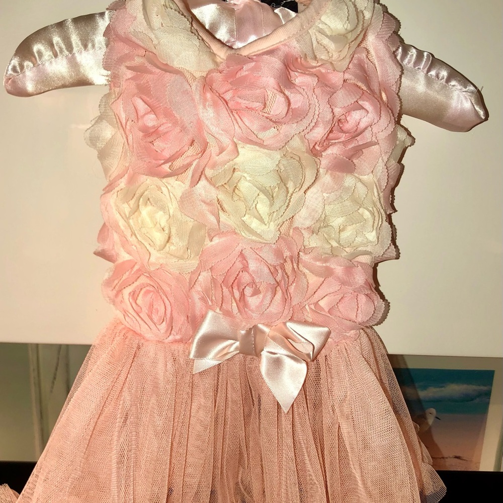 Elegant Pink and Cream Dog Dress